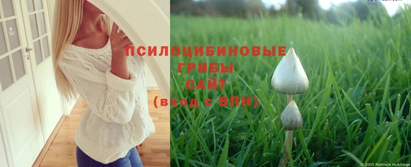 бошки Алексин