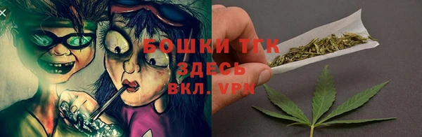 бошки Алексин