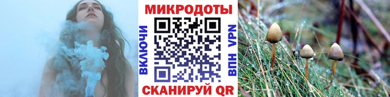 как найти наркотики  Полевской  Псилоцибиновые грибы Psilocybine cubensis 